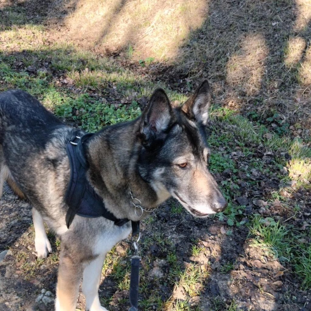 l'équipe de Barrons Nous : Nout 